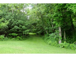 Property photo 5 - LAND AUCTION - 1,050+/- ACRES OFFERED IN 21 TRACTS PLUS 450+/- ACRE HUNTING LEASE IN MUSKINGUM COUNTY, OHIO
